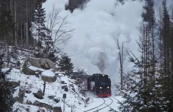 79994 366310 9fUM1YeQnty5ViZhjF6Keb0mhRmOVGxNkDGb6TcEDbA 697aa0fb499ec.jpg