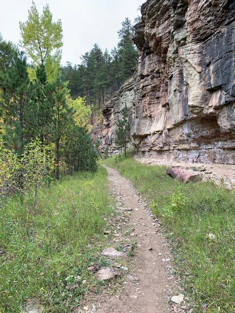 145 (4)